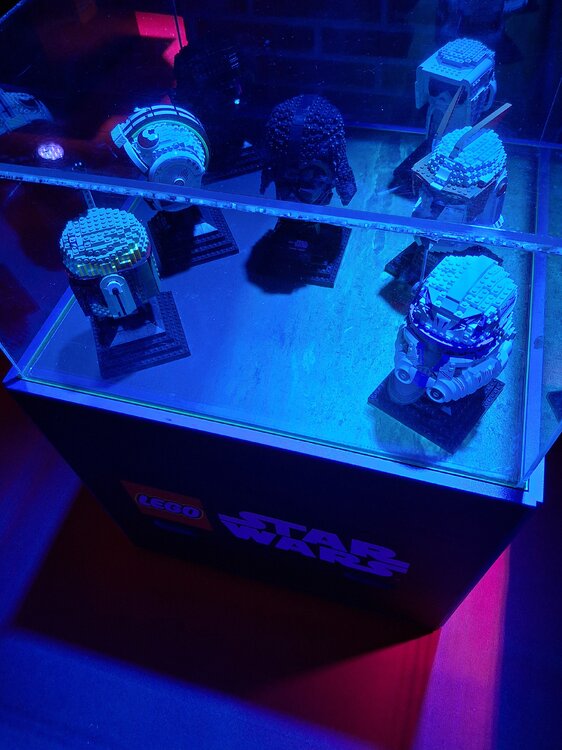 20250527_123047.jpg