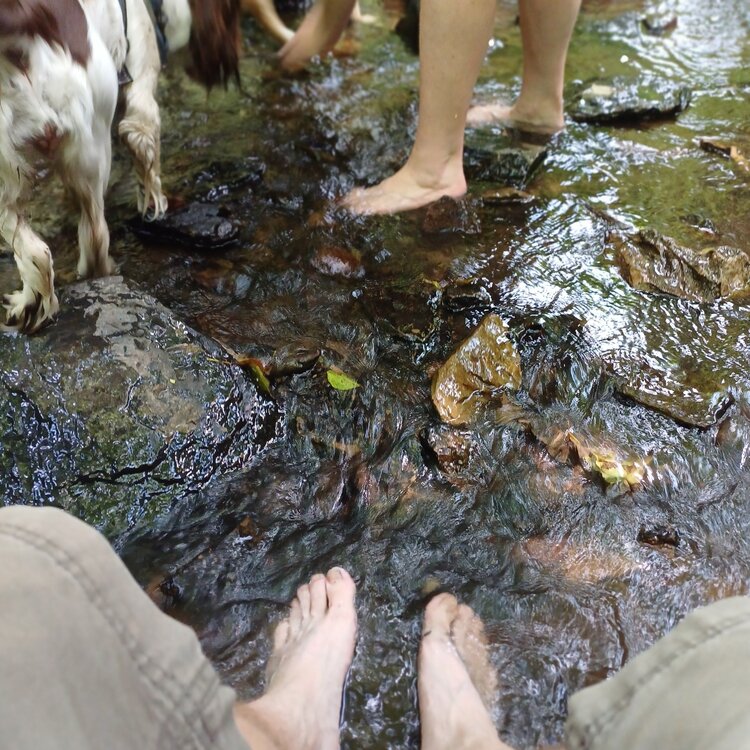 20250723_121401.jpg