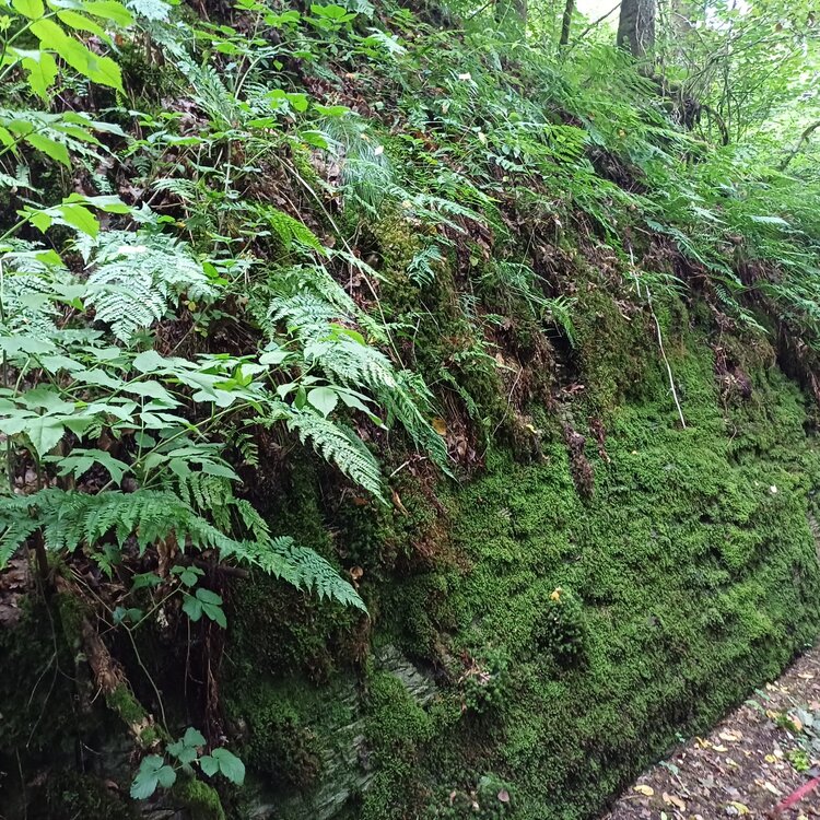 20250723_124210.jpg