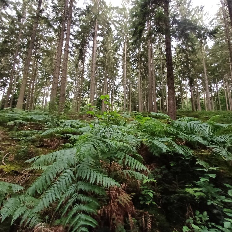 20250723_130017.jpg