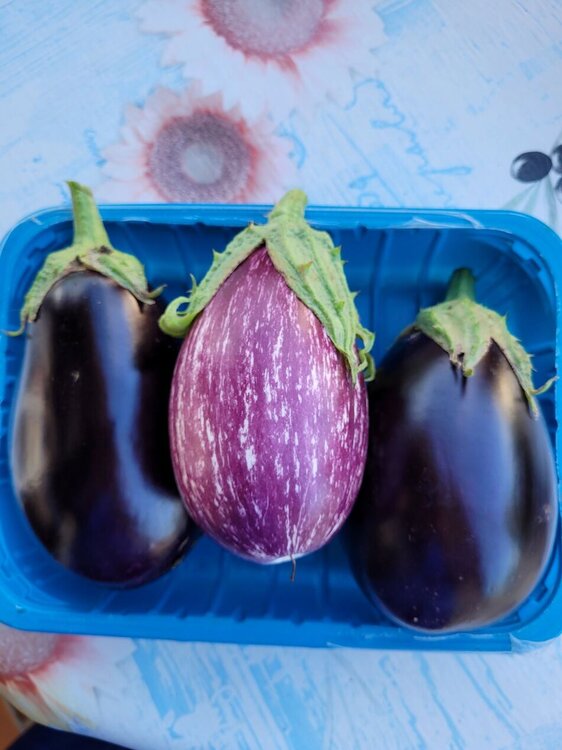 Aubergines.jpg