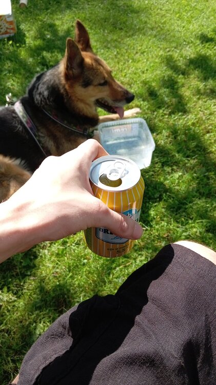IMG-20250719-WA0007.jpeg