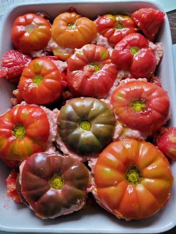 Tomates1.jpg