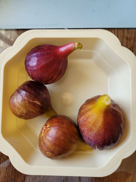 figues.jpg