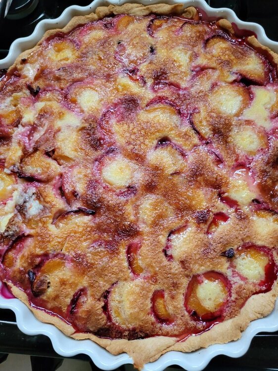 tarte 5.jpg