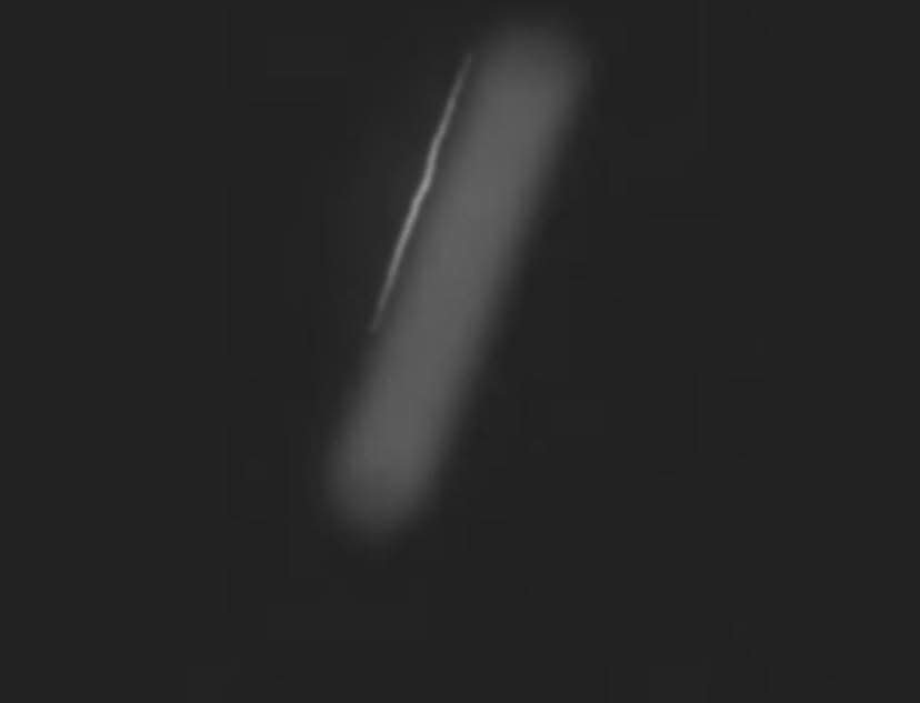 image.jpeg.950d1903b58743d7d0e037b4d0b47c2a.jpeg