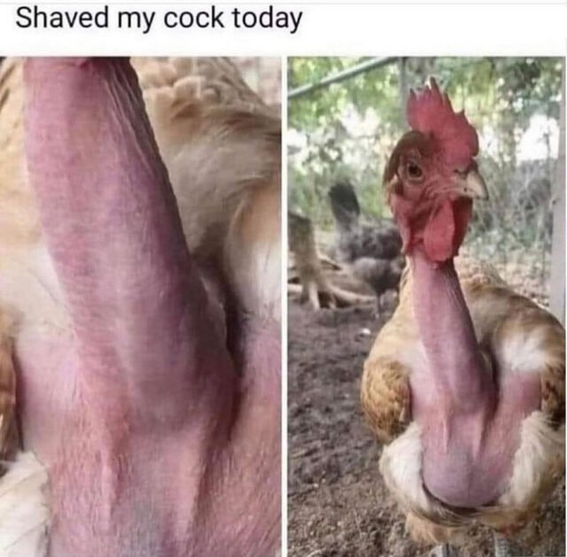 picdump_kw41_2025-116.jpg.8ea8d54a894eaccc5c75466d088c8117.jpg