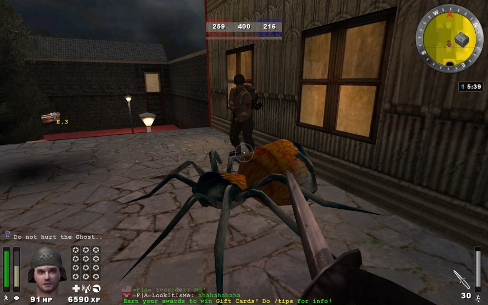 2-11FundayFreeriderpetthespider.thumb.jpg.8882ff698aa0bc7de941913cc125418b.jpg