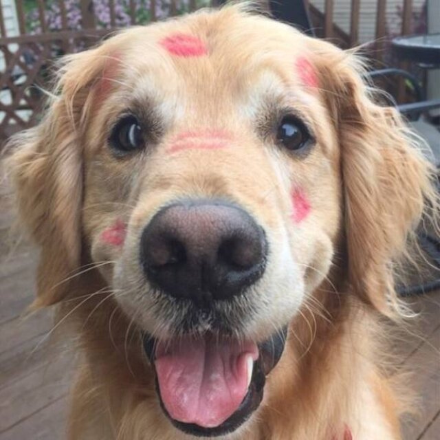 picdump_kw45_2025-015.jpg.de0ce392311aad1a13742d16c8891a1a.jpg