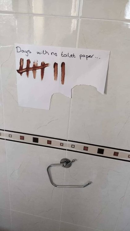picdump_kw45_2025-032.thumb.jpg.cd4415c1524089206829fd3b7e23f3d8.jpg