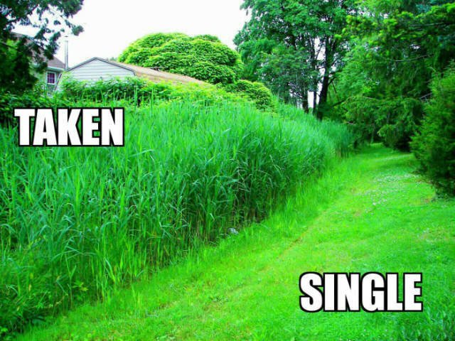 picdump_kw46_2025-015.jpg.a84bc9dec1982e6a2d1d66acb89cd9c9.jpg