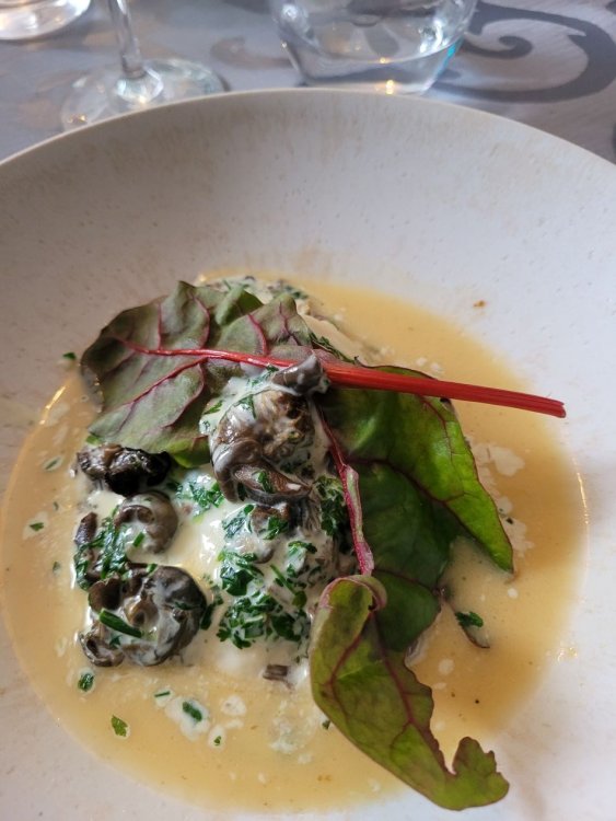 Fricassée d'escargots.jpg