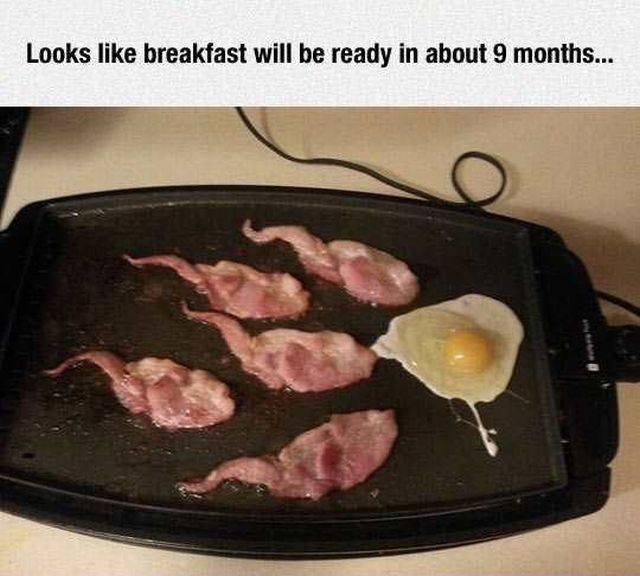 picdump_kw07_2026-024.jpg.c0b29866e469391b1caf7c76f2203f73.jpg