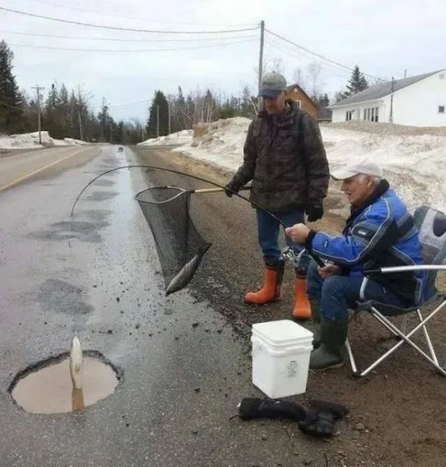 picdump_kw07_2026-068.jpg.67e628bfbb95ae3a4b78683f0c8960b8.jpg