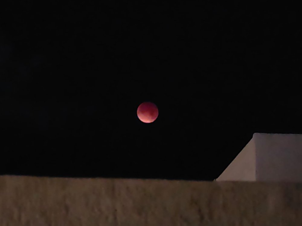 image.thumb.jpeg.5dbd3681746164d7b422e20012337134.jpeg