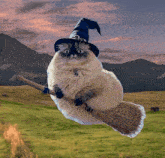 image.gif.75fbedefd74c6caecd80158d31c30ce0.gif