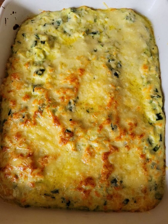 Gratin de courgettes.jpg