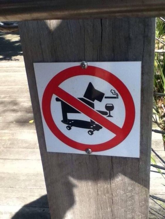 picdump_kw18_2026-020.thumb.jpg.76e8c048f549d7c37396c89a94e30023.jpg