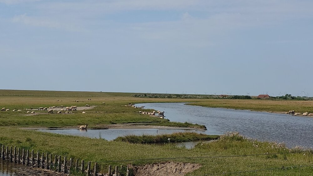 20260803_151200.JPG