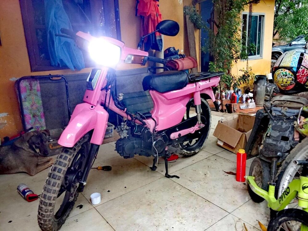 pp1.jpg