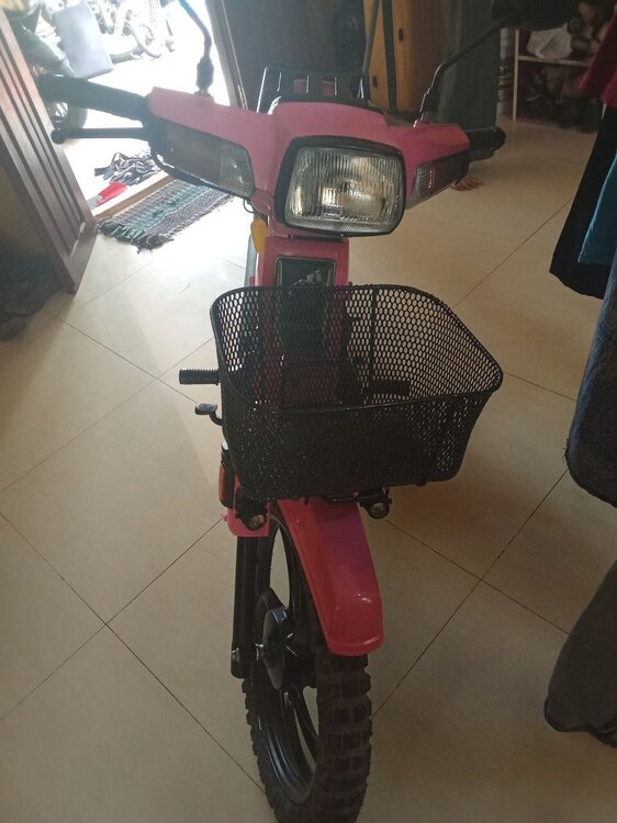 pp8.jpg
