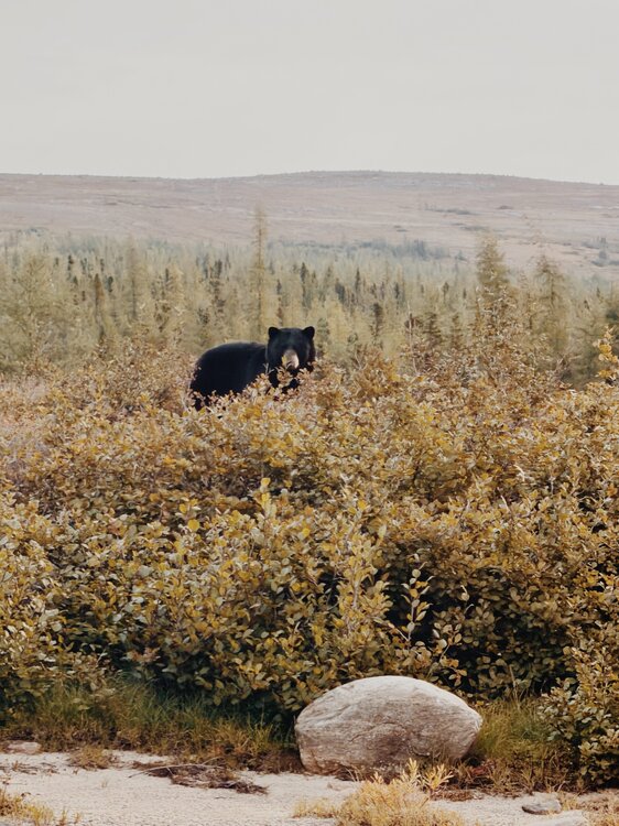 FullSizeRender_VSCO.jpeg