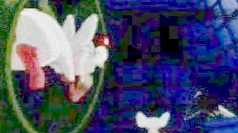 image.thumb.jpeg.825d0c1810d00419df2211104a60d368.jpeg