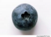 a blueberry